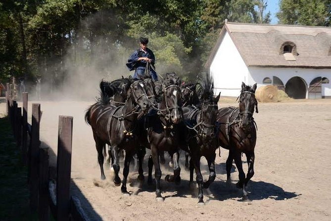 Horseshow on the Hungarian Puszta, private tour from Budapest with entry! - Why Kiskunsagi National Park matters