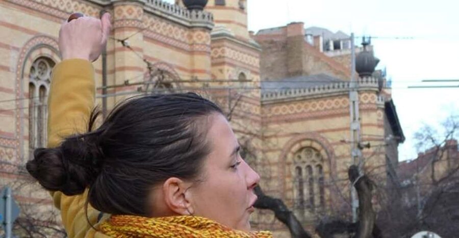 Jewish Quarter of Budapest Walking Tour - The Jewish Triangle and three synagogues