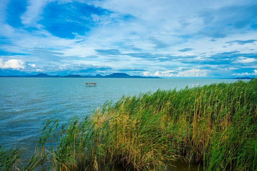 Lake Balaton and Herend Guided Tour - What the private format adds at $412