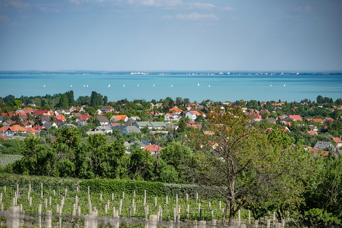 Lake Balaton Full Day Private Wine Tour - The Budapest pickup and long ride west