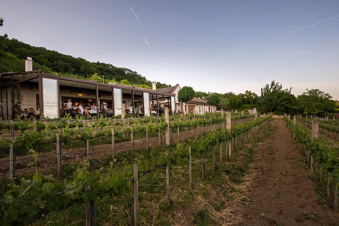 Lake Balaton Full Day Private Wine Tour - Balatonfüred and the 45-minute Tagore Promenade