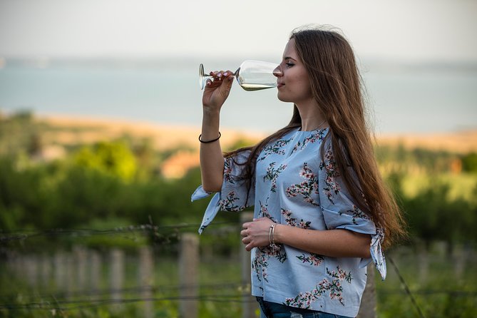 Lake Balaton Full Day Private Wine Tour - Lunch gives the day some balance