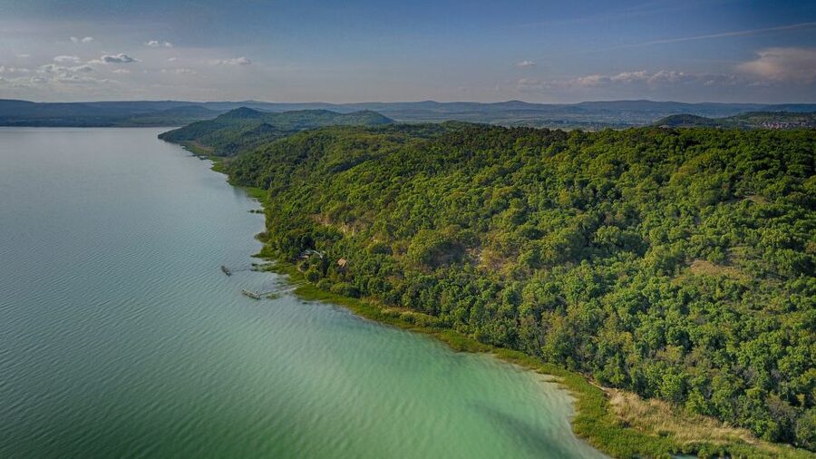 Lake Balaton: Paddle Board Tour of Tihany National Park - What the $94 price includes