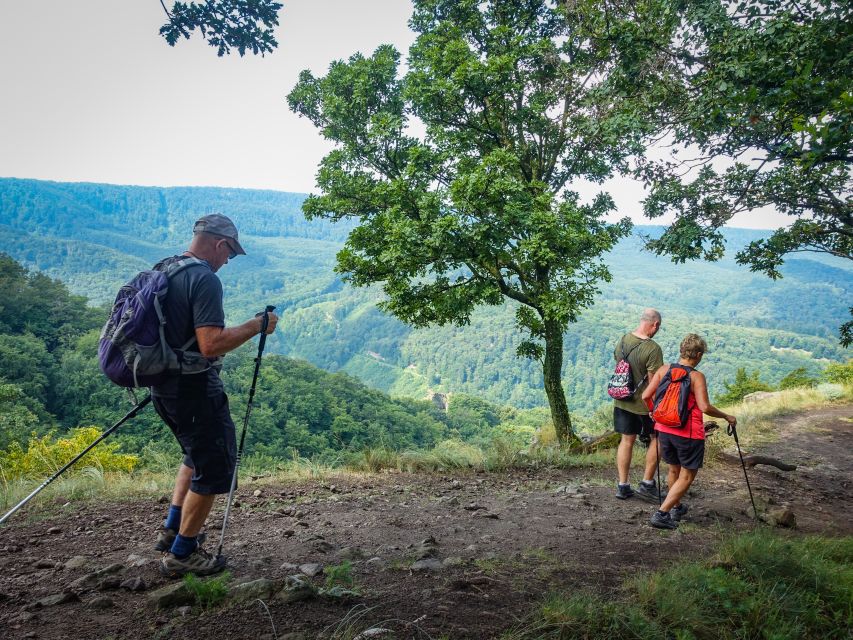 One Day Wonder Hike - The Essence of the Danube Bend - The steep climb from Dömös