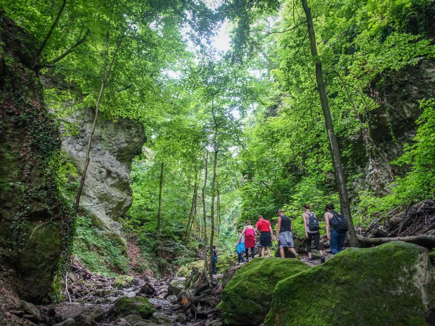 One Day Wonder Hike - The Essence of the Danube Bend - The long descent through a quiet valley