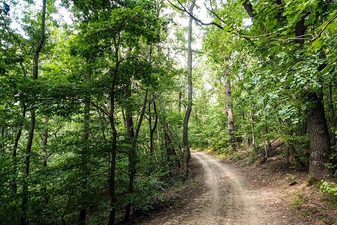 Panoramic hike around Budapest - The chairlift option after the harder walking