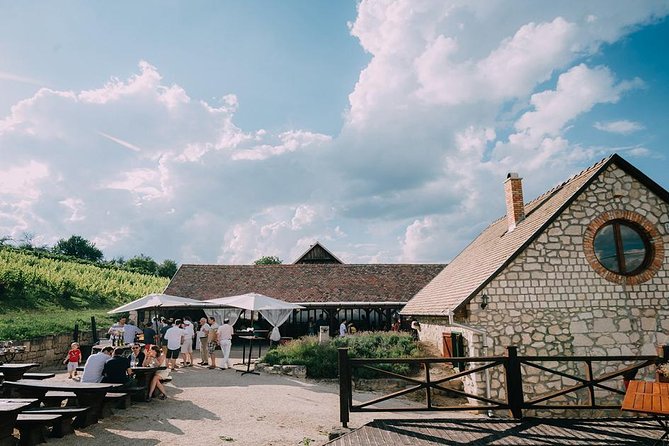 Private Etyek Wine tour with dinner including a Budapest Danube Evening Cruise - Timing, comfort, and small practical points