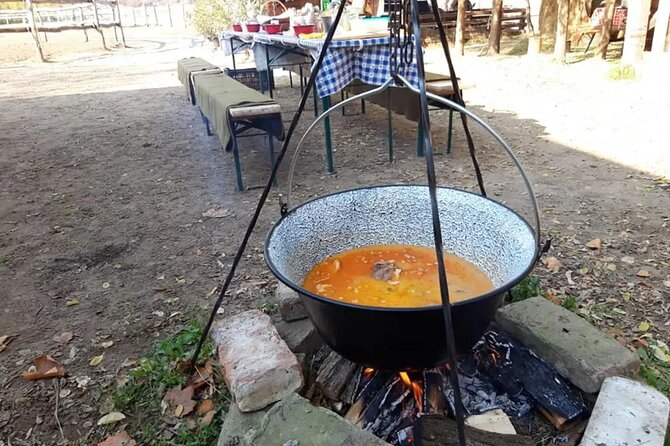 Private Horse Riding near Budapest with transport - A Hungarian meal after the horses