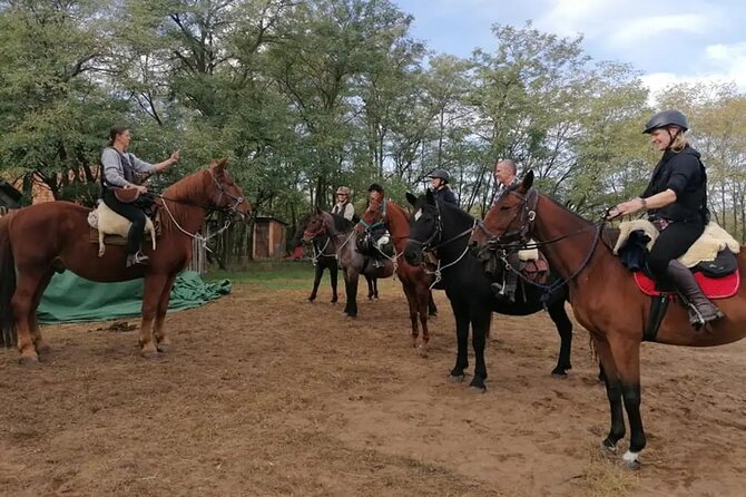 Private Horse Riding near Budapest with transport - Practical questions to ask before departure