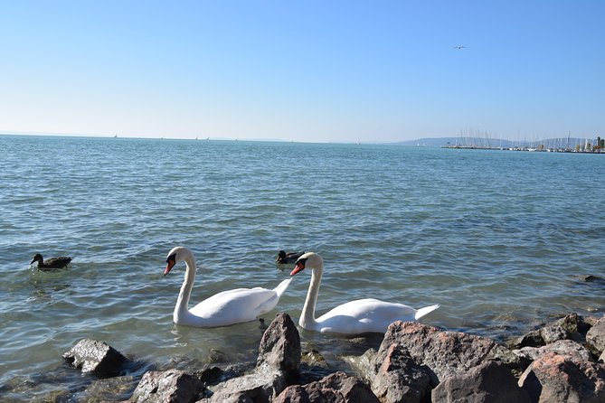 Private Lake Balaton Experience with an unforgettable Wine Tasting - Is $372.34 per person good value?