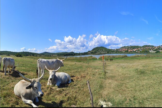 Private tour from Budapest to a top hidden treasure region of Europe: Lake Balaton - Why Lake Balaton makes a smart break from Budapest