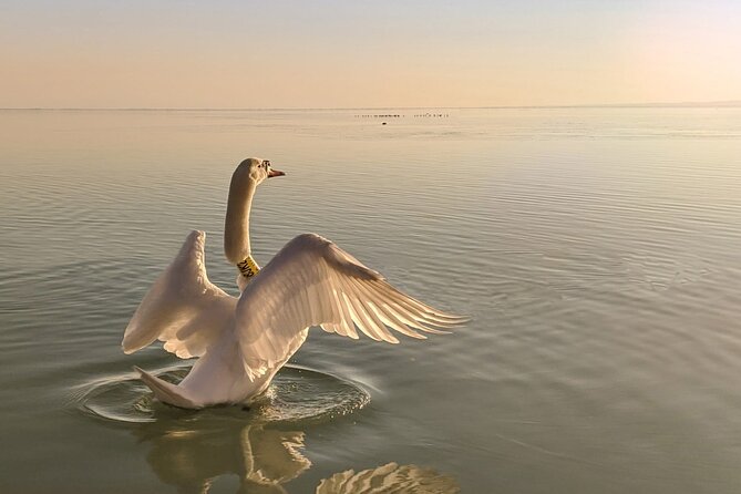 Private tour from Budapest to a top hidden treasure region of Europe: Lake Balaton - A private guide makes the long drive worthwhile