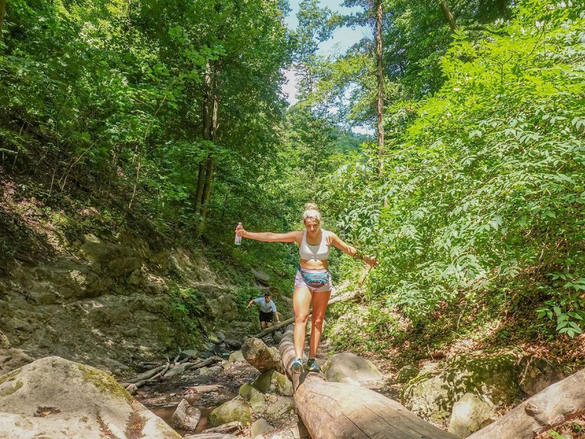 Ram Gorge Hiking Adventure - The spring, the trees, and the quieter rewards