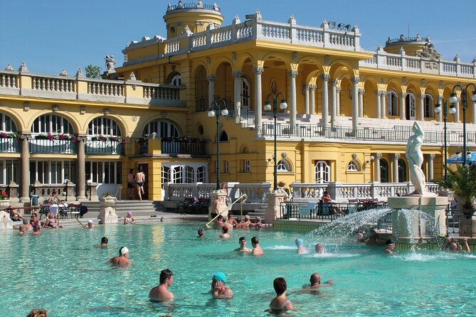 Széchenyi Thermal Spa Palm House Pass - Exclusive Area - Using the private pool, sauna, and steam room