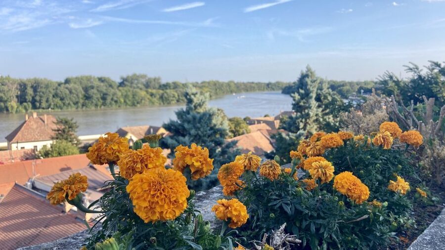 Szentendre: Arts and Cafés Tour (Half-Day Private Tour) - Why the private car changes the value