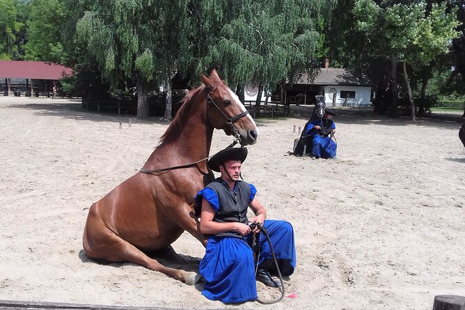 The "Puszta" Horse Show - Key points before you book