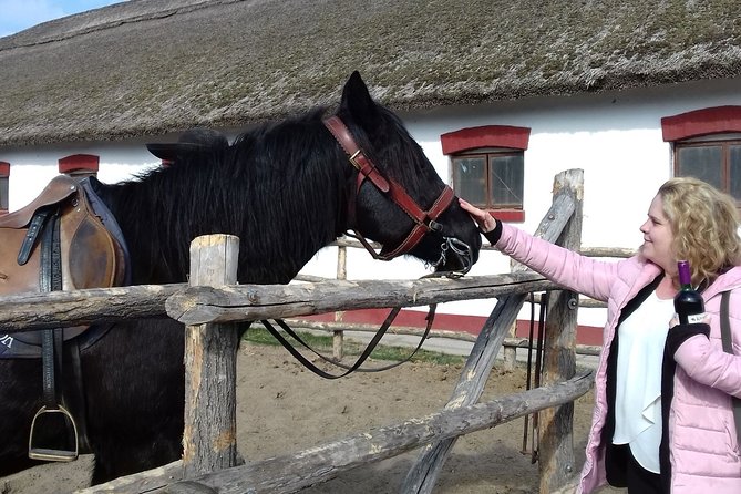 The "Puszta" Horse Show - Kecskemét in one hour