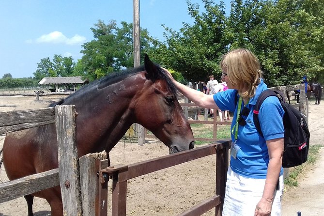 The "Puszta" Horse Show - Hungarian lunch with drinks included