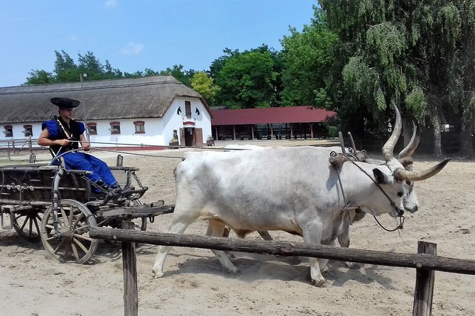 The "Puszta" Horse Show - Who will enjoy this day most