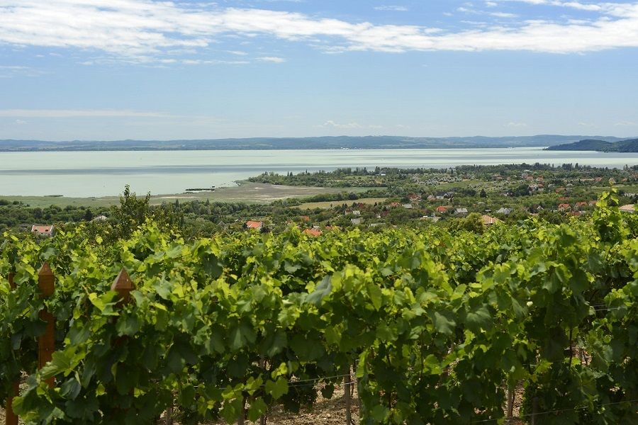 The Turquoise Sea of Hungary: Lake Balaton Private Tour - Balatonfüred’s promenade and grand villas