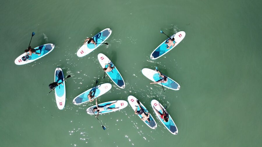 Tihany: SUP Course and Tour at Lake Balaton - The first hour: learning on land before Lake Balaton