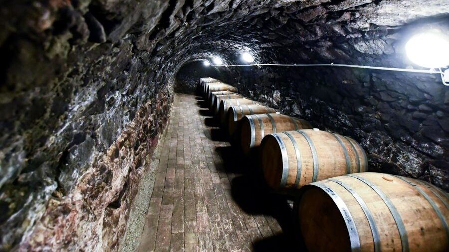 Tokaj: Classic Wine Tasting - Who will enjoy this tasting most?