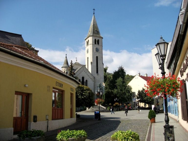 Tokaj Private Day Tour from Budapest - Who should book this Tokaj tour?