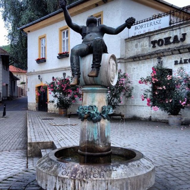 Tokaj Private Day Tour from Budapest - The guide can shape the whole experience