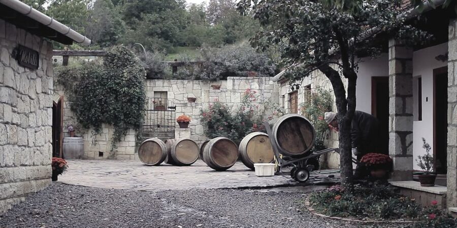 Tokaj Private Day Tour from Budapest - Practical details that matter