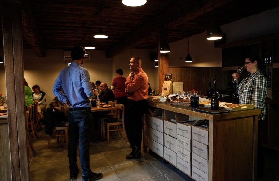 Tokaj: Vineyard Tour & Tasting - Key points to know before booking