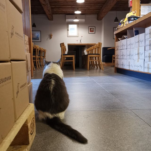 Tokaj: Vineyard Tour & Tasting - Pickup and drop-off in three Tokaj-area towns