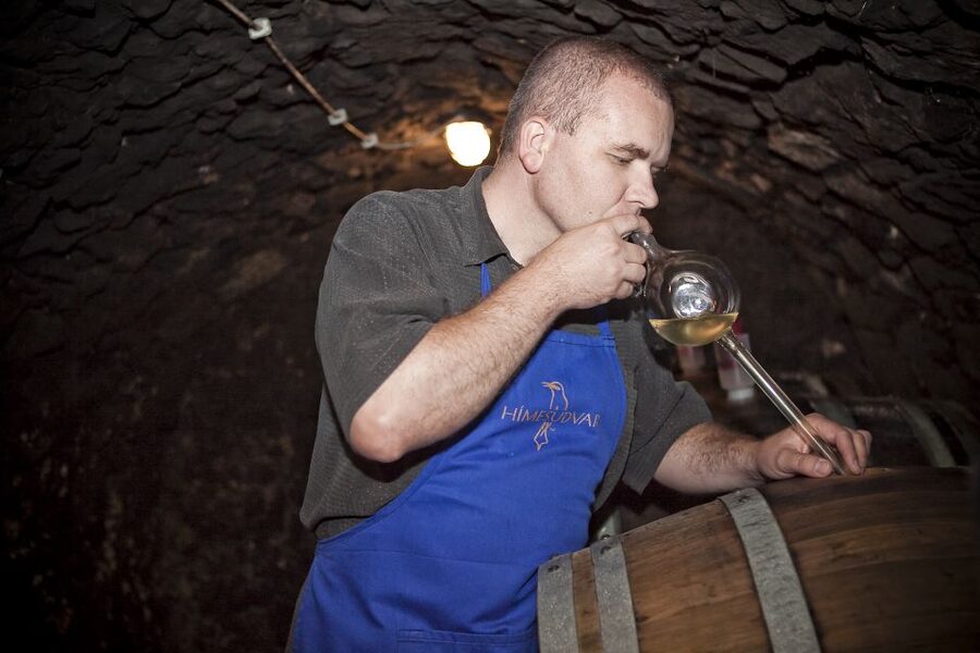 Tokaj: Vineyard Tour & Tasting - Starting among the vines outside Tokaj