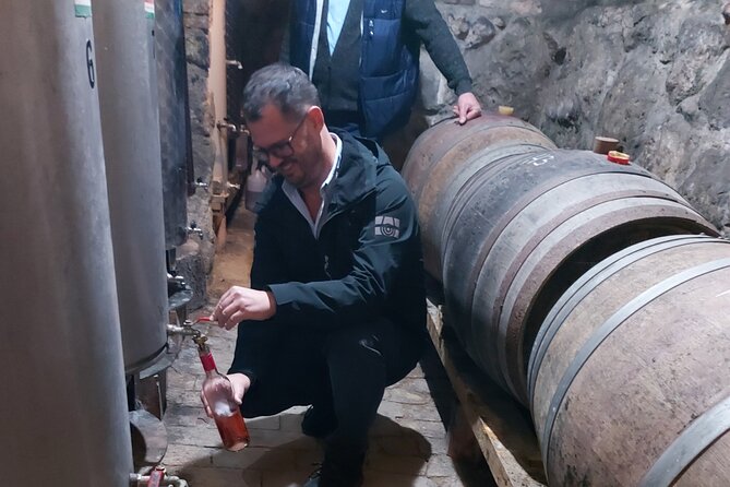 Wine Tasting in the Countryside from Budapest - Key points to know before you book