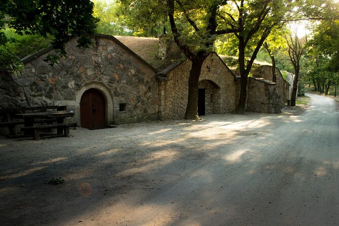 Wine Tasting in the Countryside from Budapest - Leaving Budapest for Paty’s old cellar village