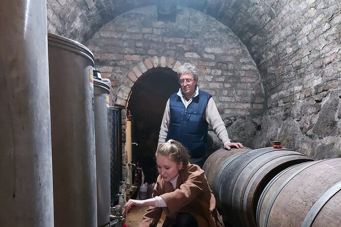 Wine Tasting in the Countryside from Budapest - Sausages, cheese, olives, and family cooking