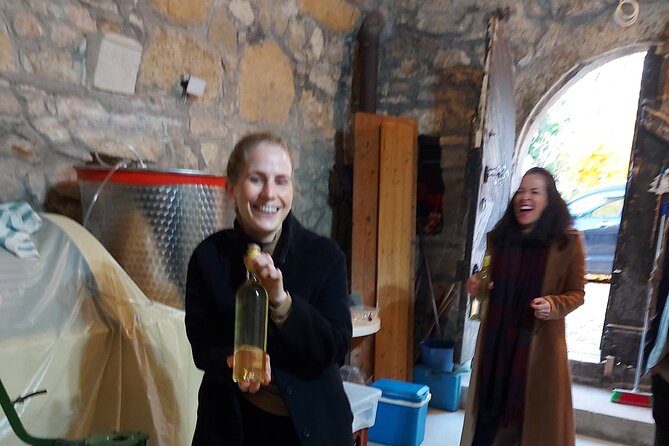 Wine Tasting in the Countryside from Budapest - What the $90 price really covers