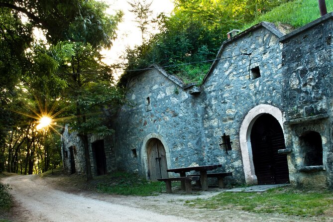 Wine Tasting in the Countryside from Budapest - What makes the 180-year-old cellars special